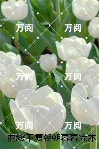 巅峰战神是什么意思
