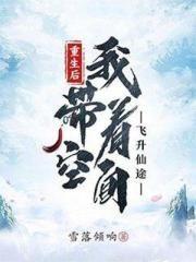 小夫人无防盗