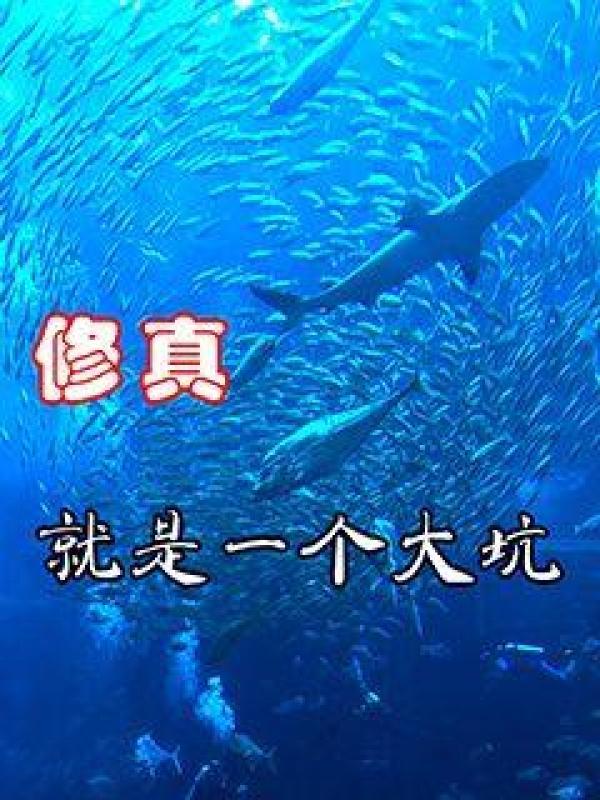 武谪仙起点中文网