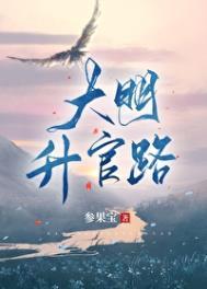 魅不可挡窗帘是几线品牌