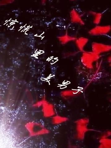 出轨后我又出轨了无忘星
