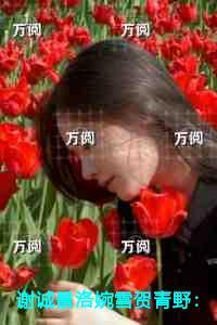 梦之澜什么意思