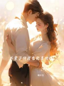 书名我是正人君子