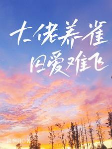 赠送道侣. 内容标签