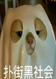 八零年代换亲女配